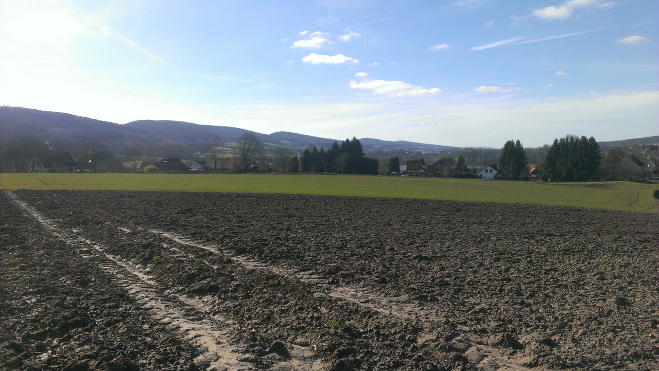 arable landscape field free photo