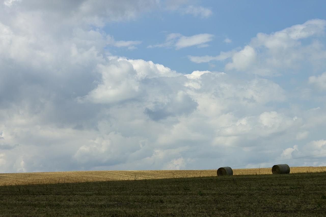 arable field hay bales free photo