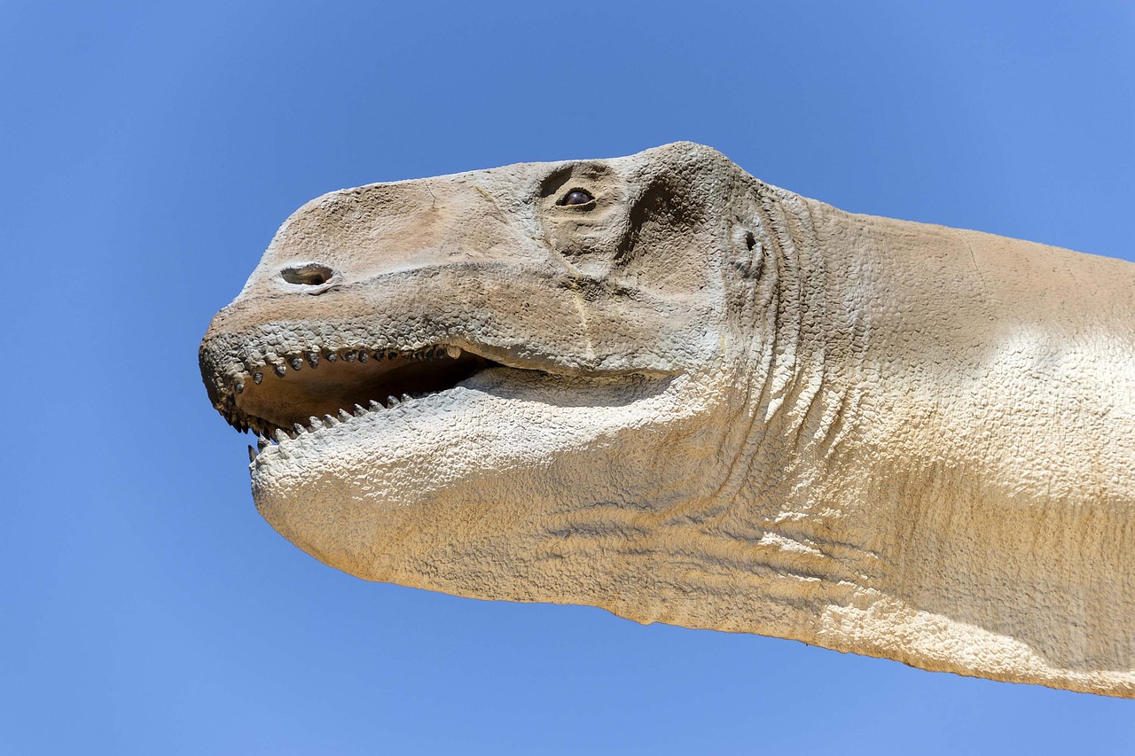 aragosaurus  dinosaur  jurassic free photo
