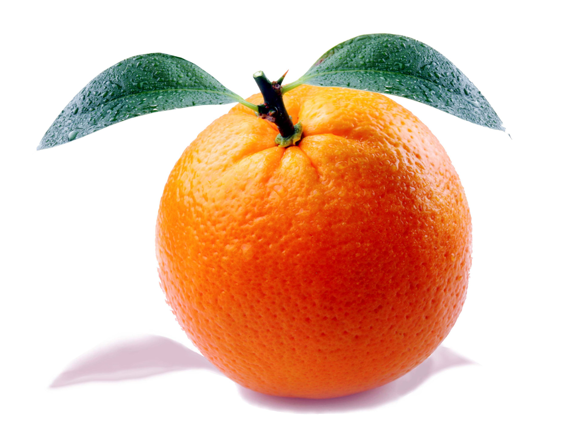 orange fruit sicilian orange free photo