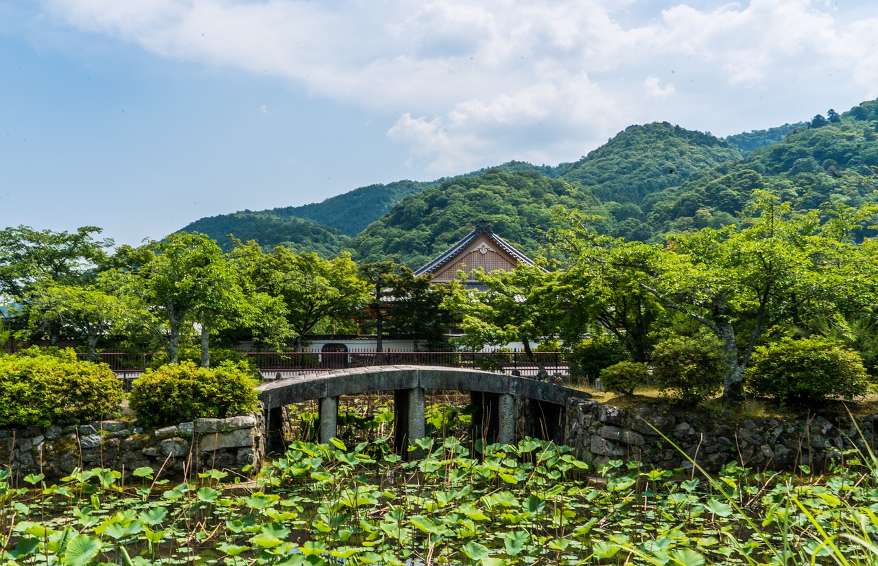 arashiyama japan lily pond free photo