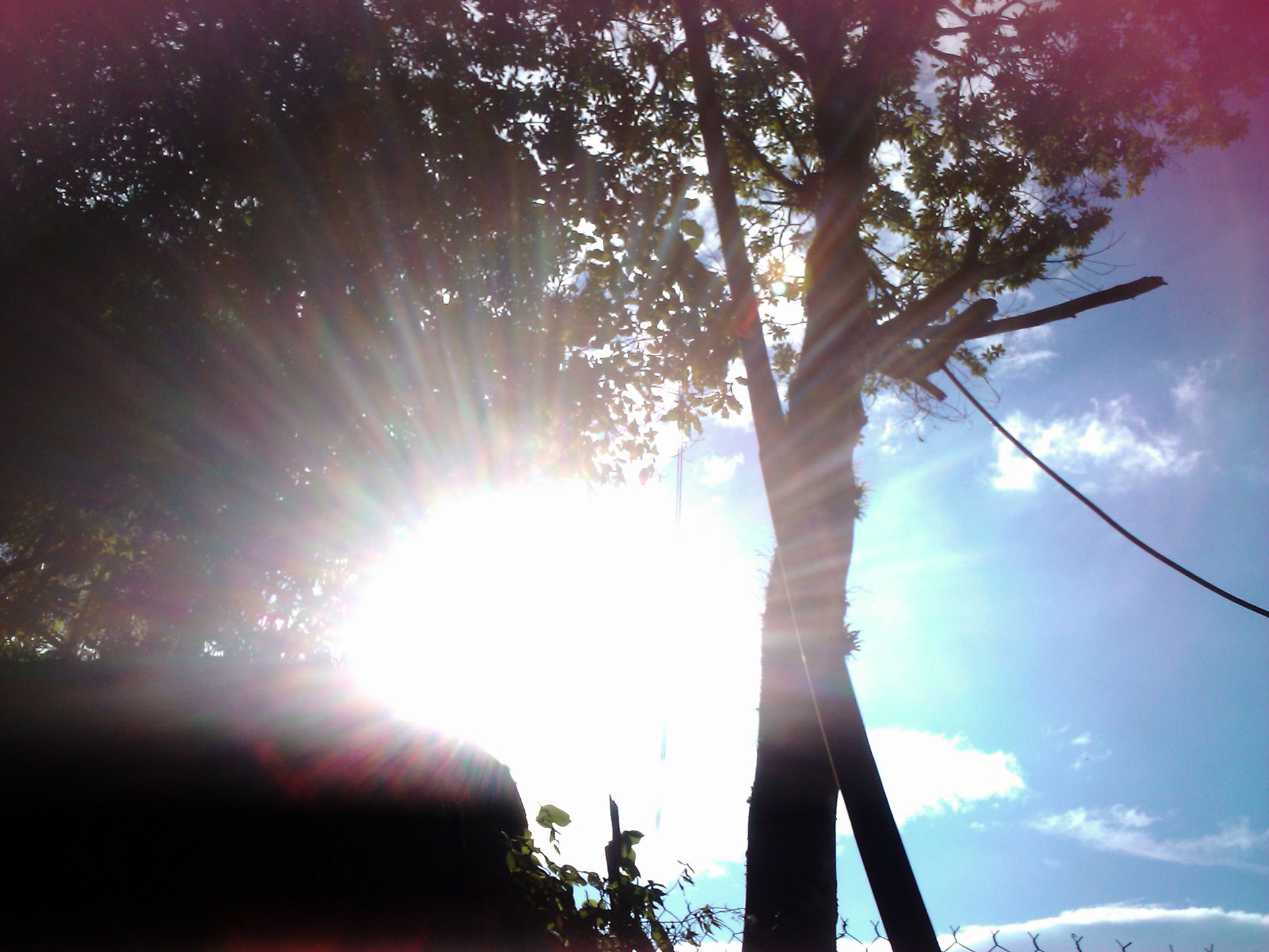 tree sky tree and sky free photo