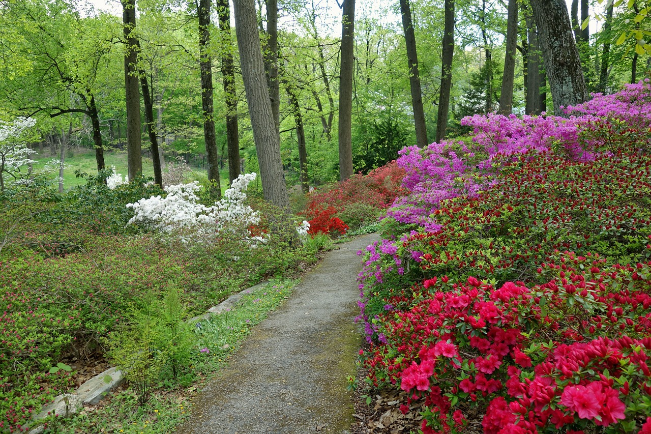 arboretum devon pennsylvania free photo