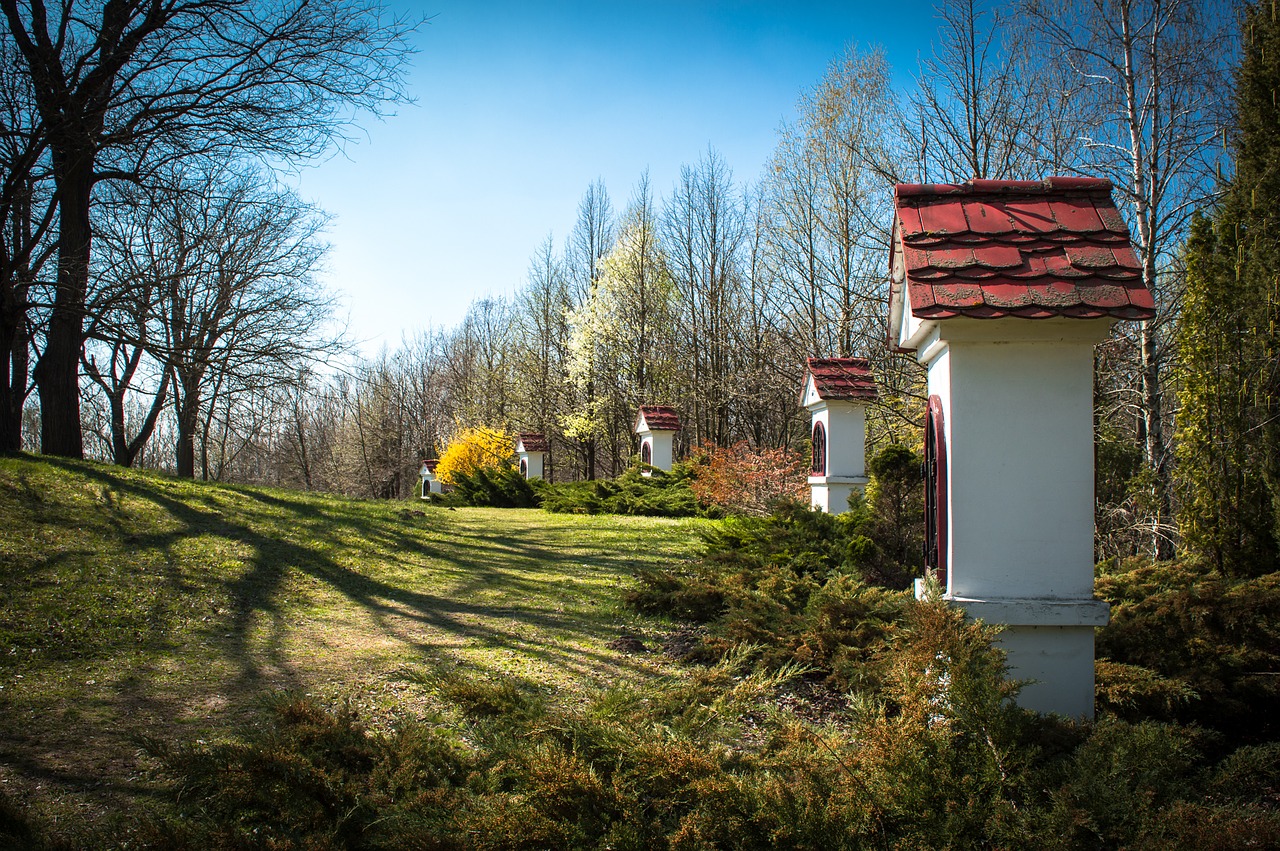 arboretum kecskemét spring free photo