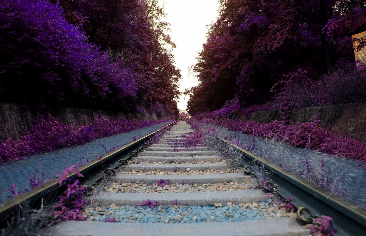 arboretum railroad tracks mont-hwan free photo