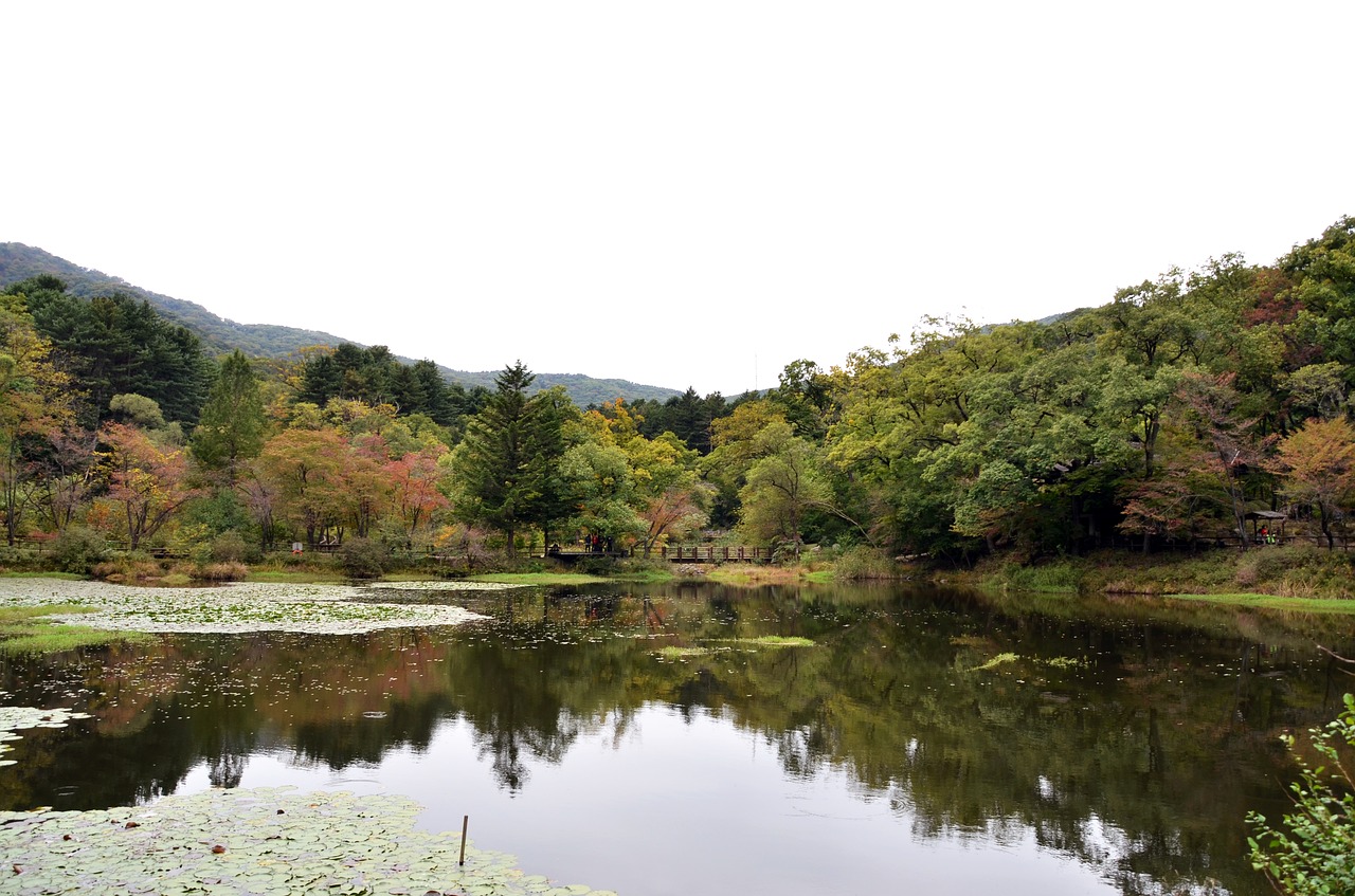 arboretum lake nature free photo