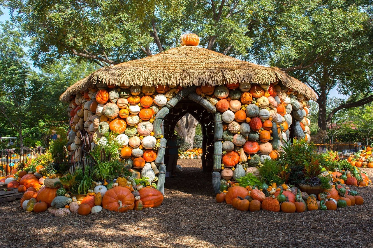 pumpkins house arboretum free photo