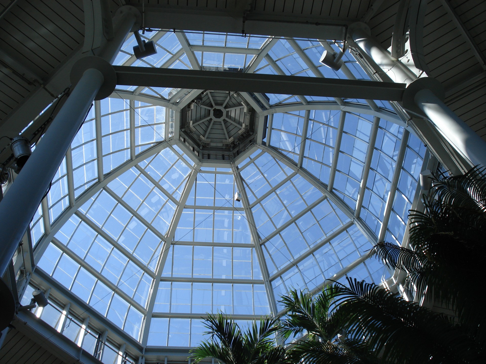 glass dome dome botanical garden free photo