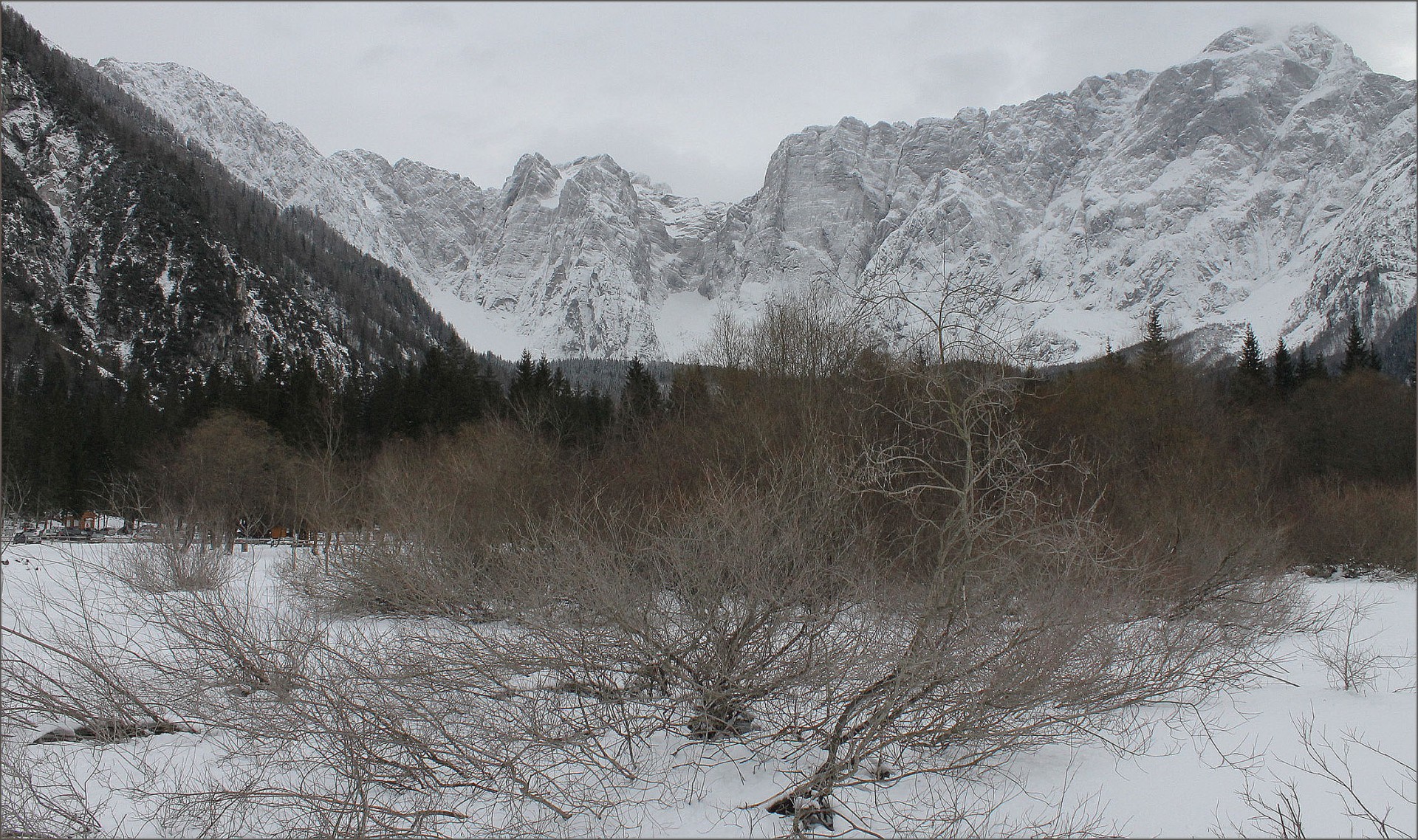 snow cold mountains free photo