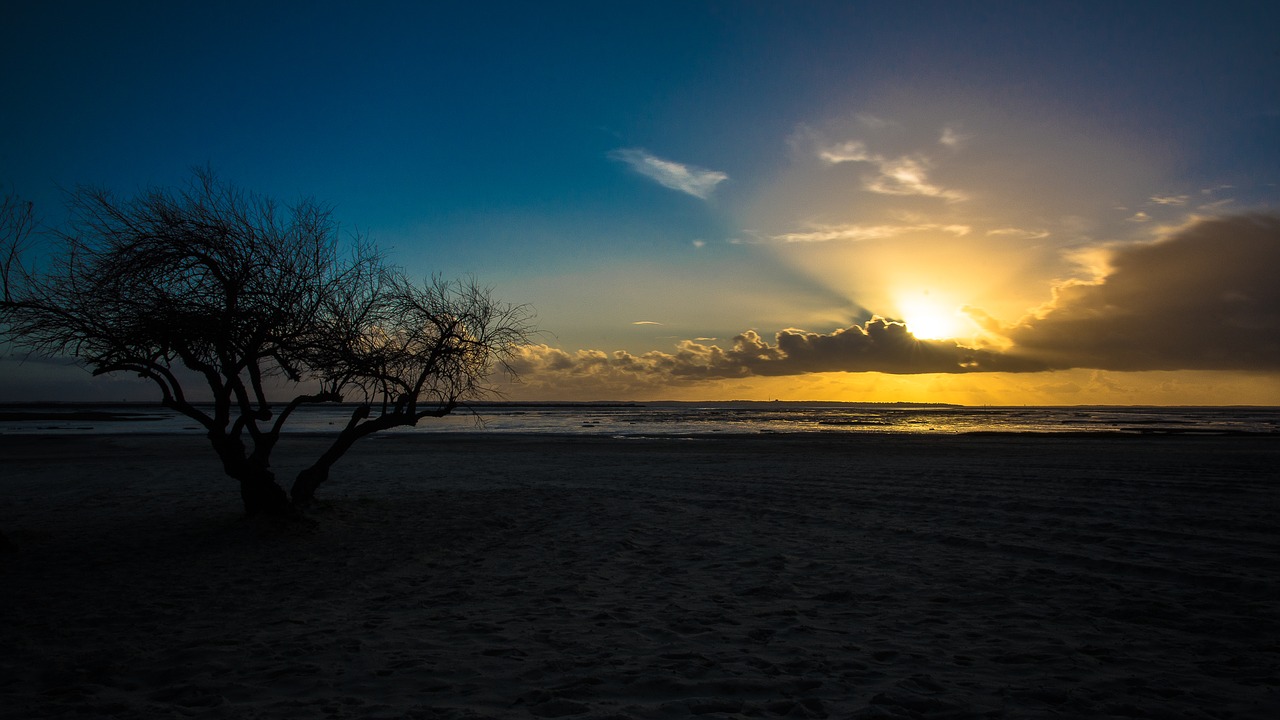 arcachon lanton basin free photo