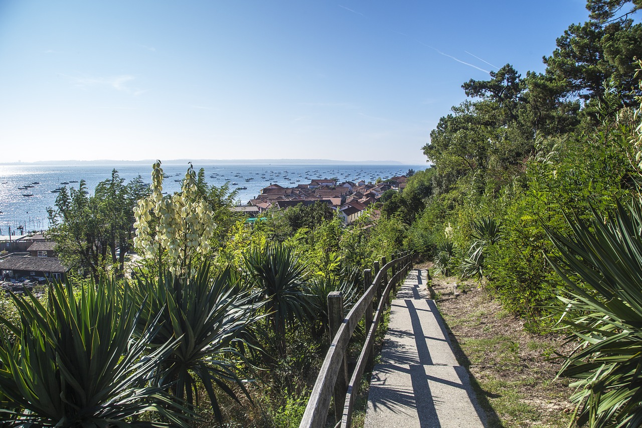 arcachon france basin free photo