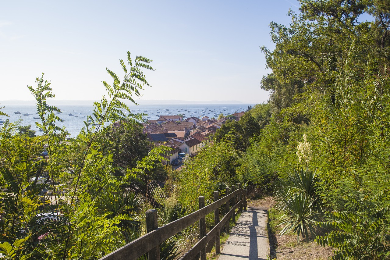 arcachon france basin free photo