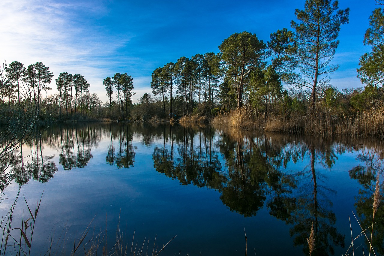 arcachon basin sunset reflections free photo