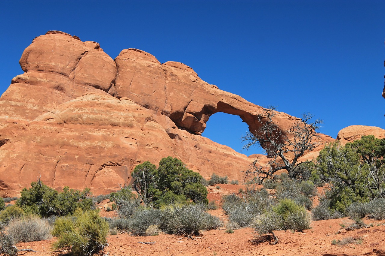 arch natural elephant head arch free photo