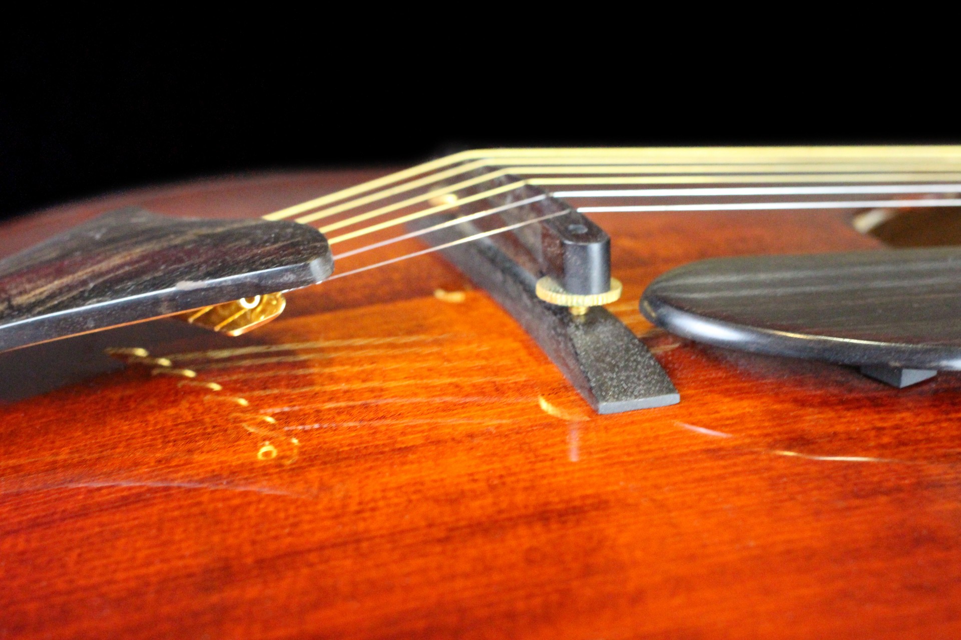 strings stringed instrument music free photo