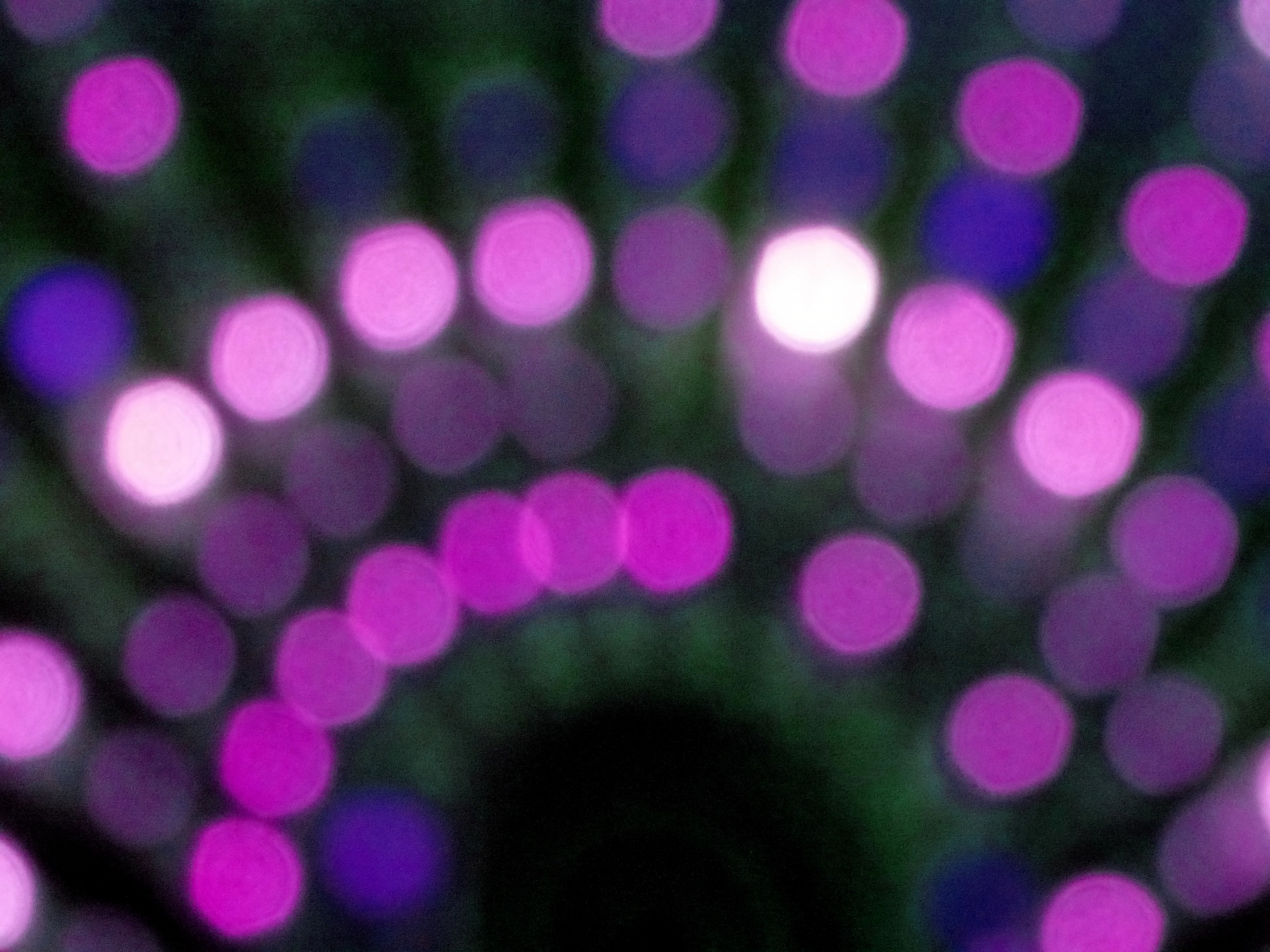 bokeh lights abstract free photo