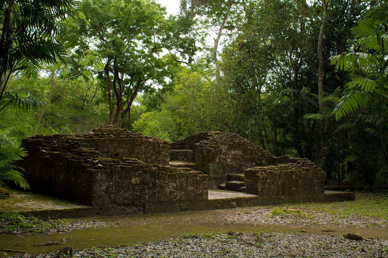 archeology culture maya free photo