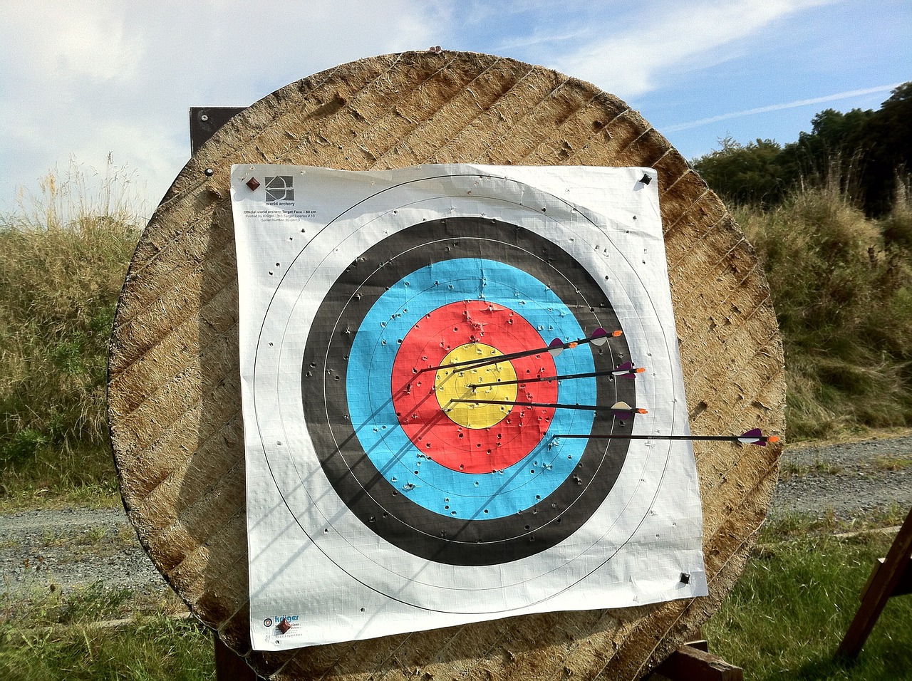 archery bogensport target free photo