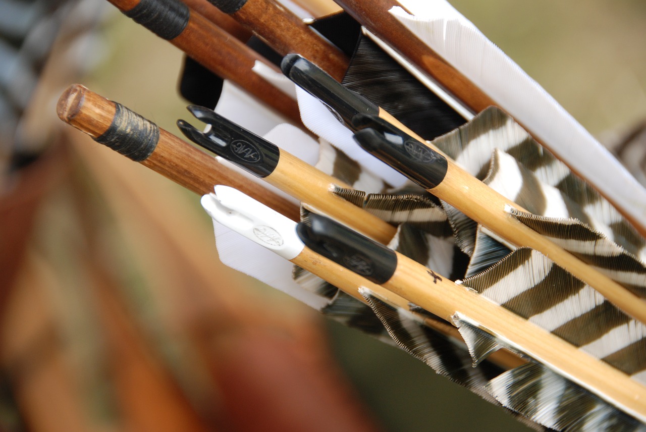 archery sport arrow free photo