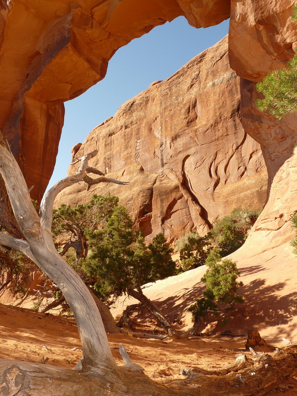 arches arches national park national park free photo