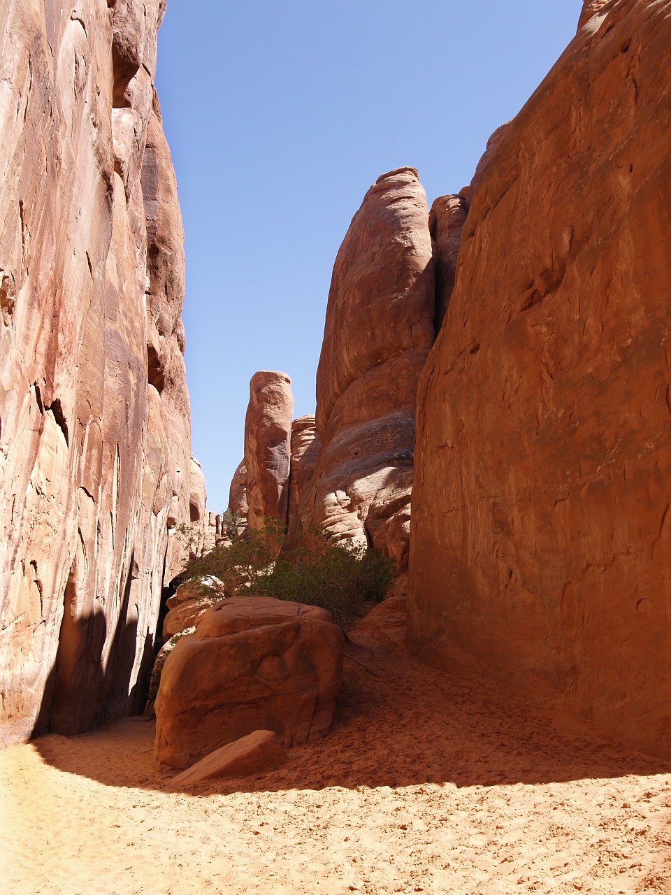 arches national park free photo