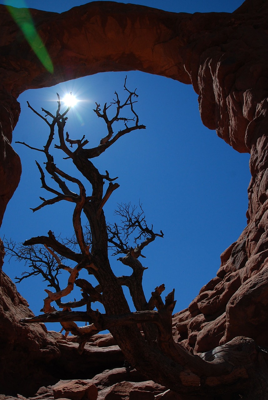arches national park nature outdoors free photo