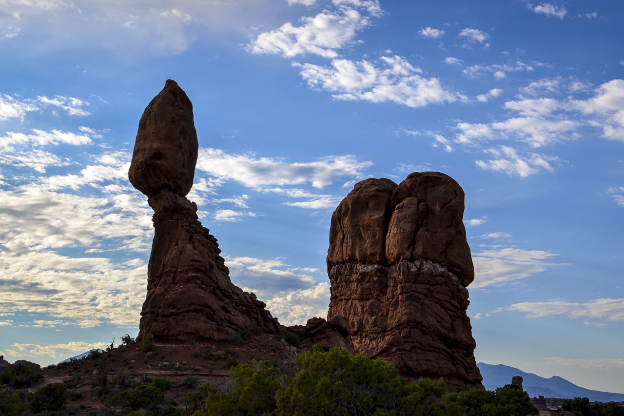 arches national park trees brush free photo