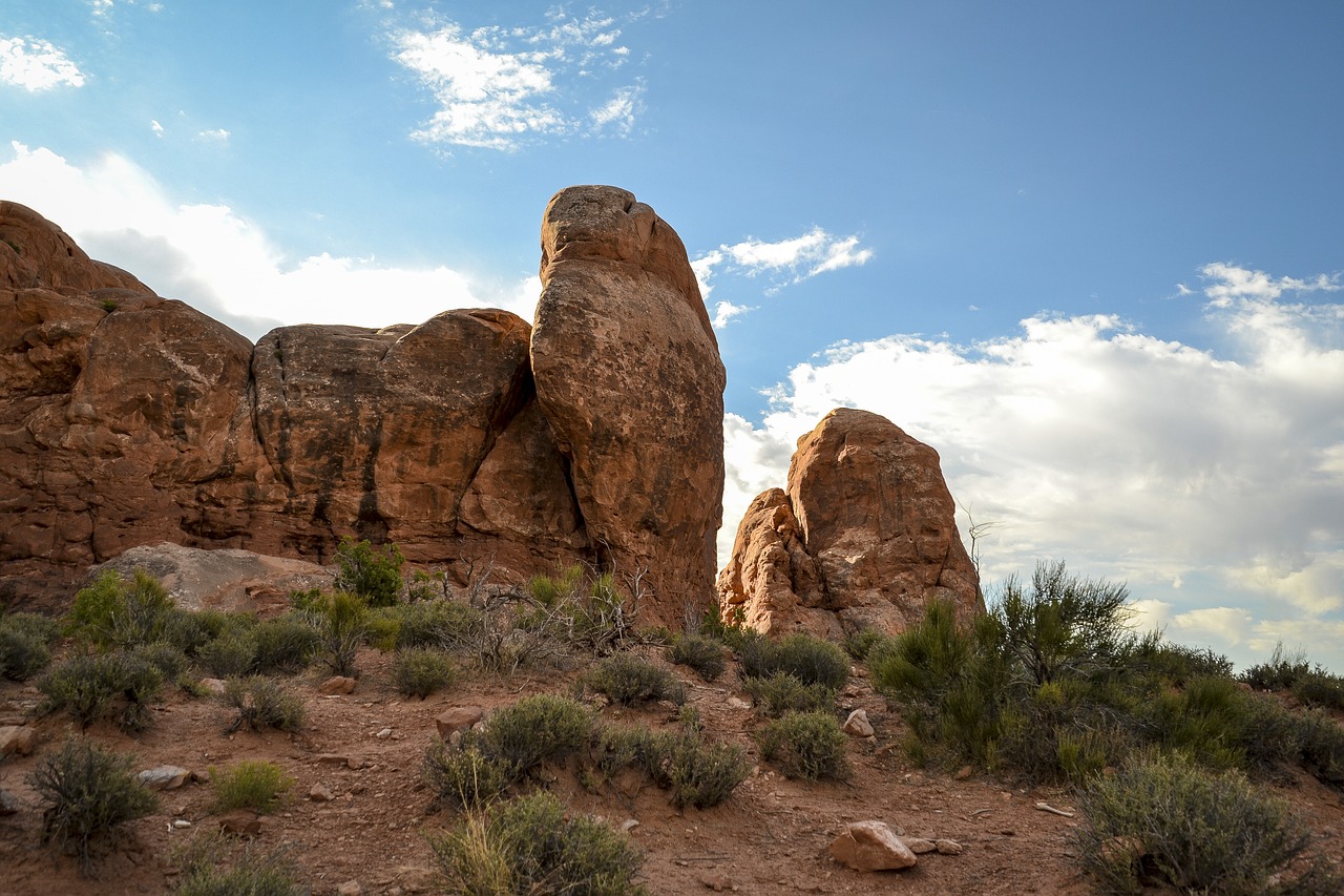 arches national park trees brush free photo
