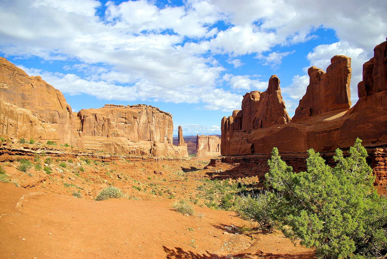 arches' park avenue  arches  national free photo