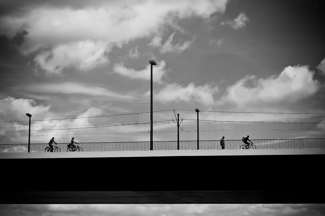 architecture bridge rhine free photo