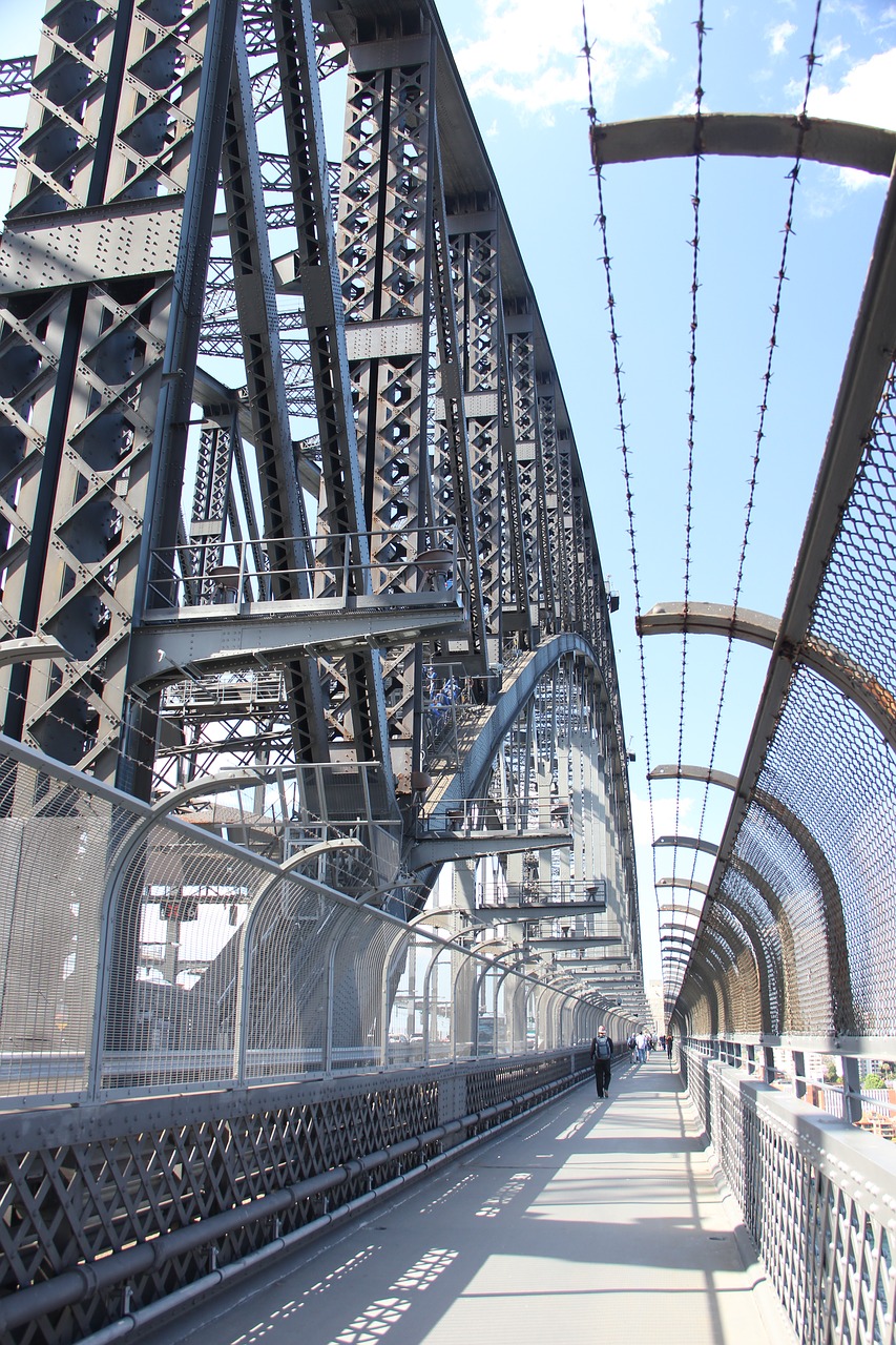 architecture bridge sydney free photo