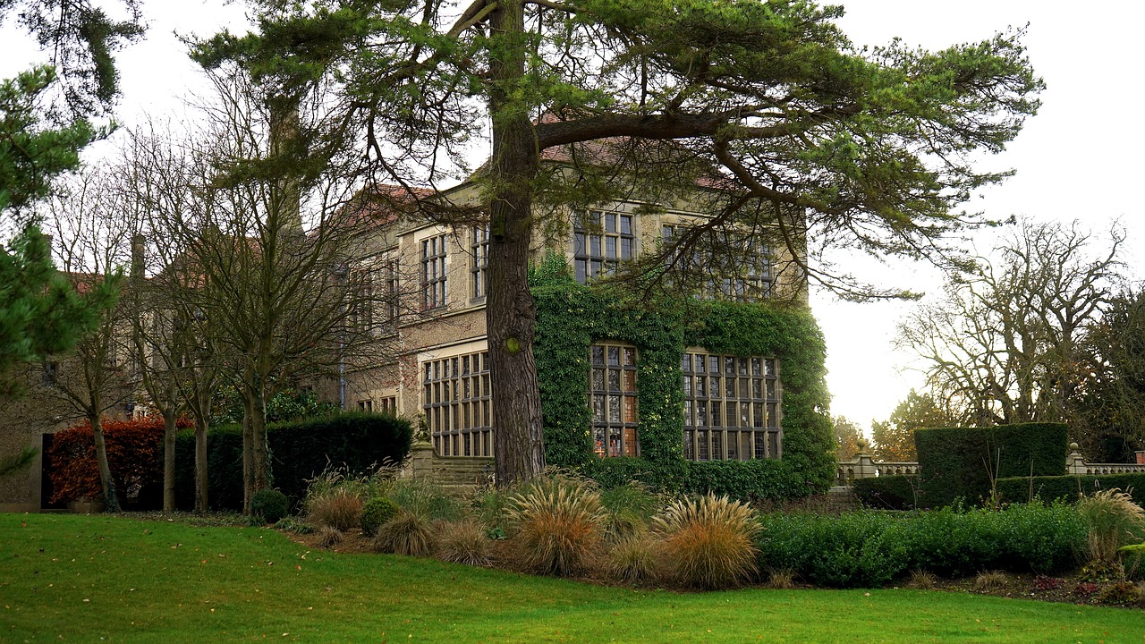 architecture building grass free photo