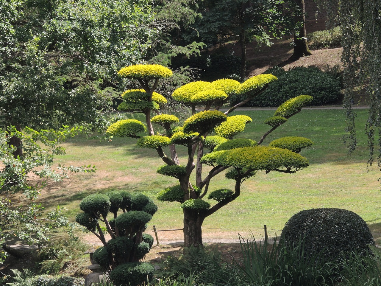 architecture plant japan free photo