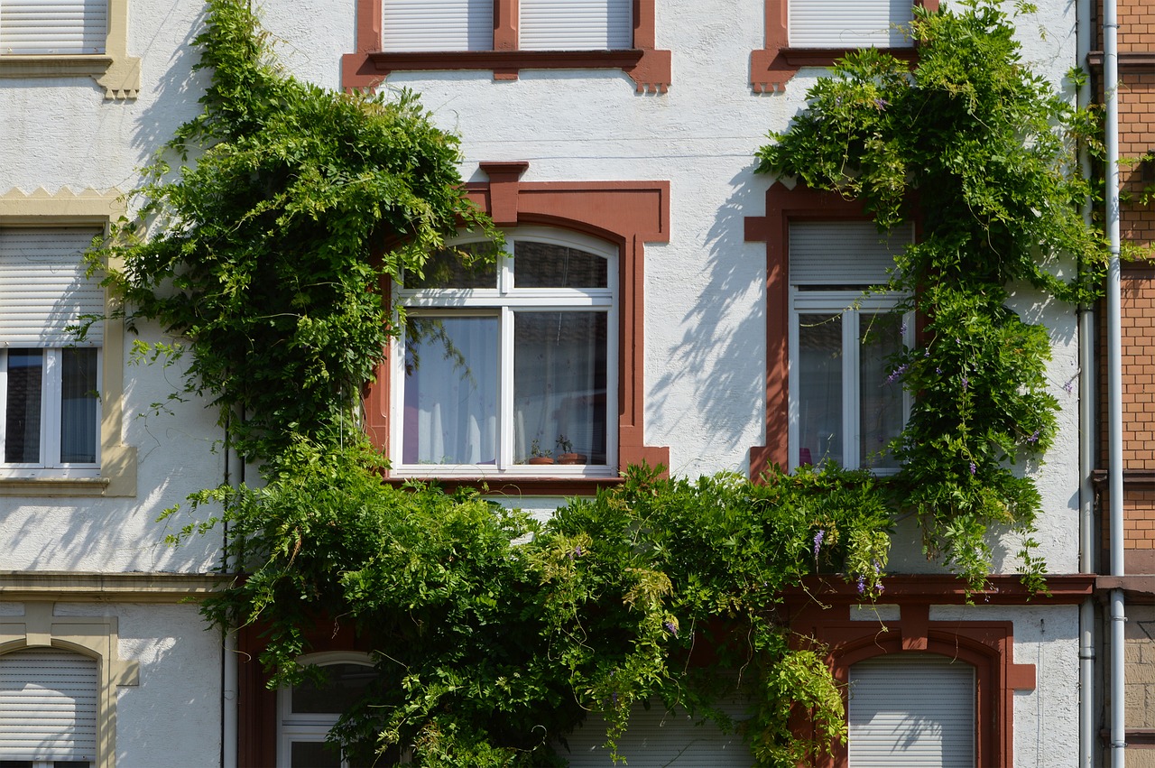 architecture building facade free photo