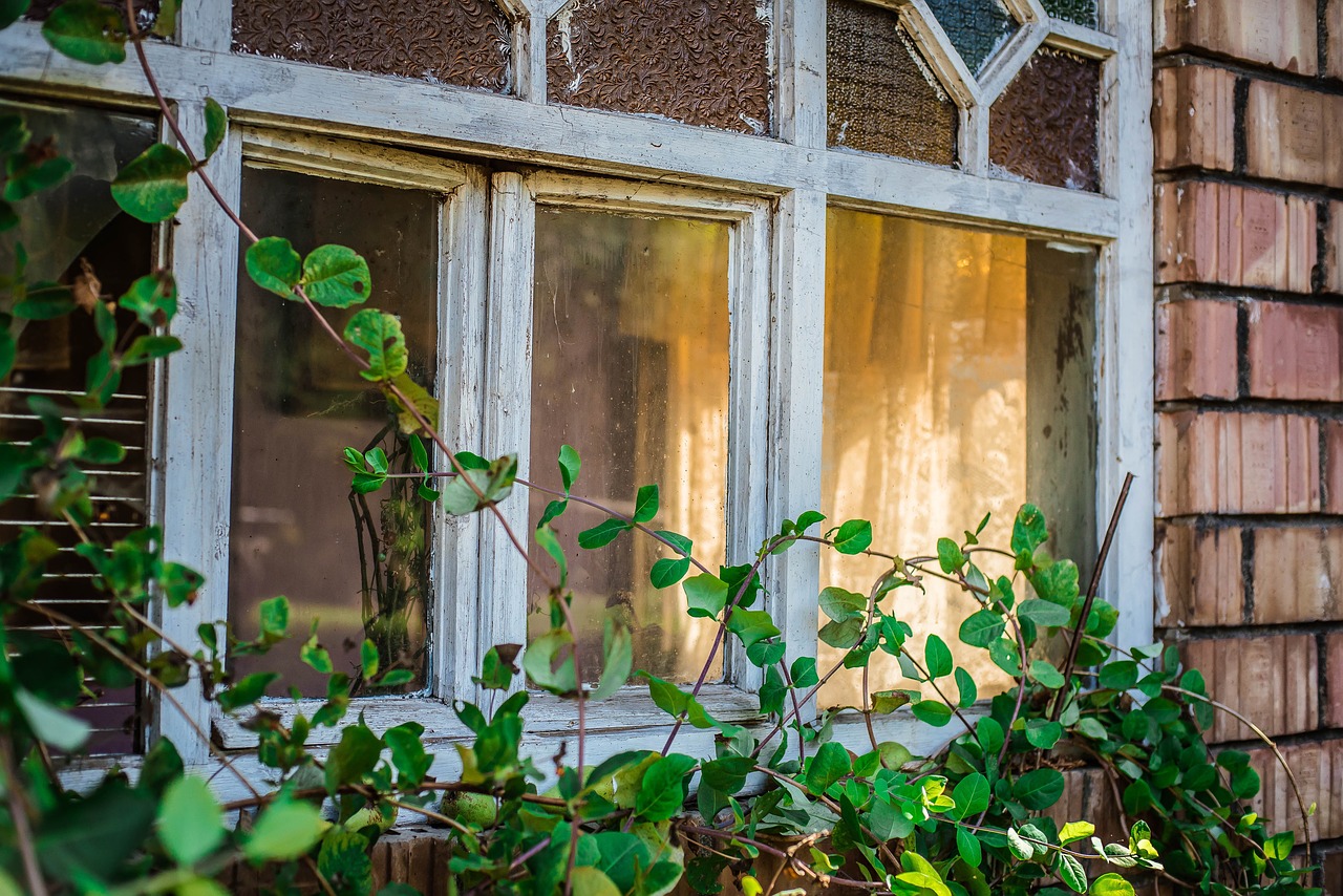 architecture house window free photo