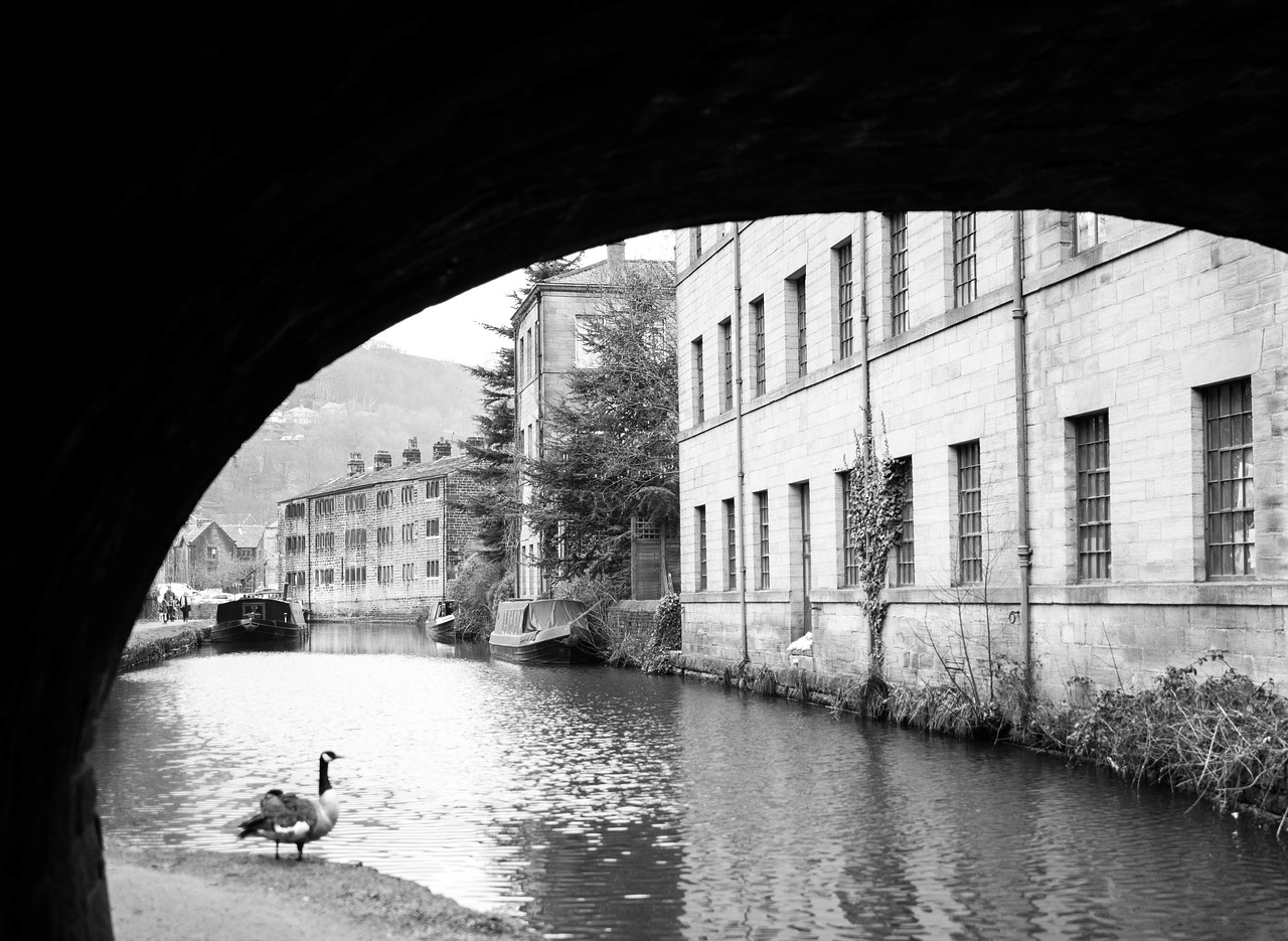 architecture building river free photo