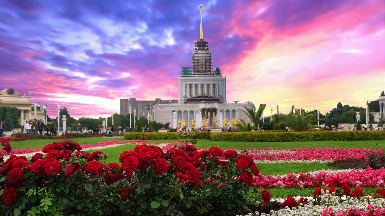 architecture sky flower free photo