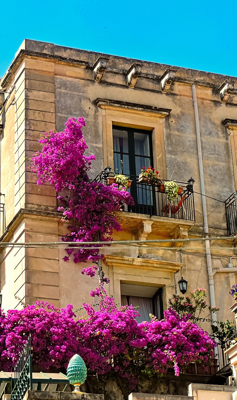 architecture home window free photo