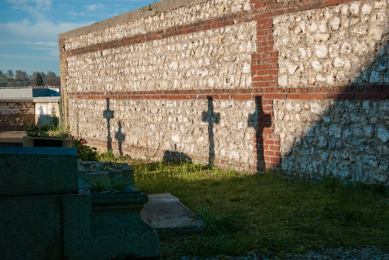 architecture  wall  brick free photo