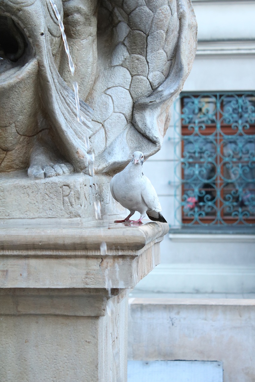 architecture  sculpture  the statue free photo