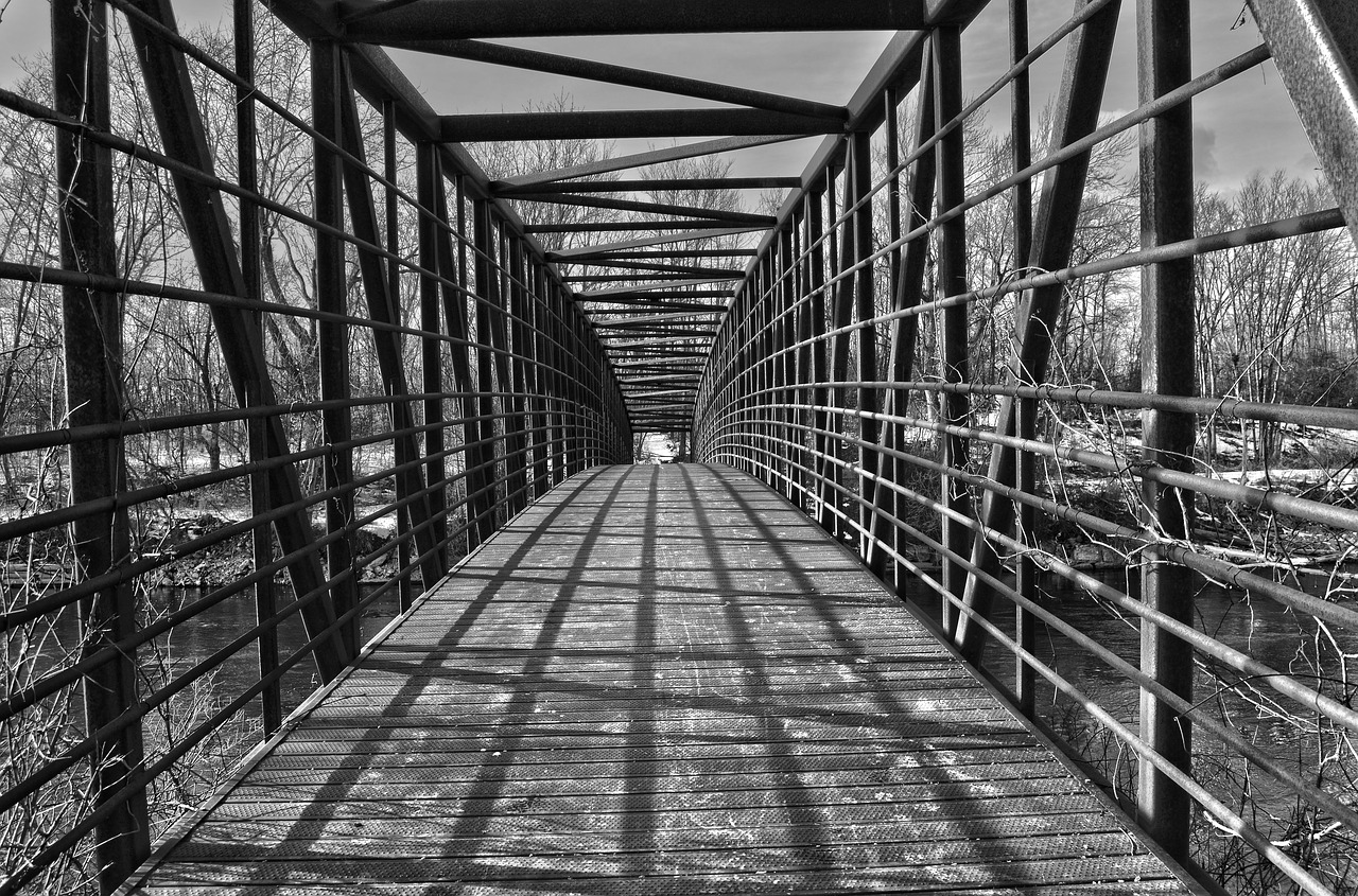 architecture  bridge  walkway free photo