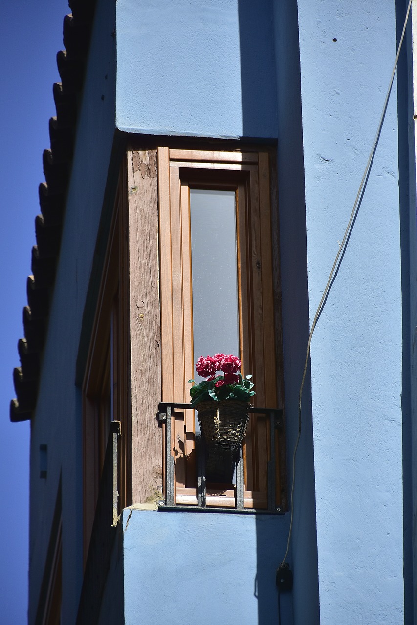 architecture  outdoors  window free photo