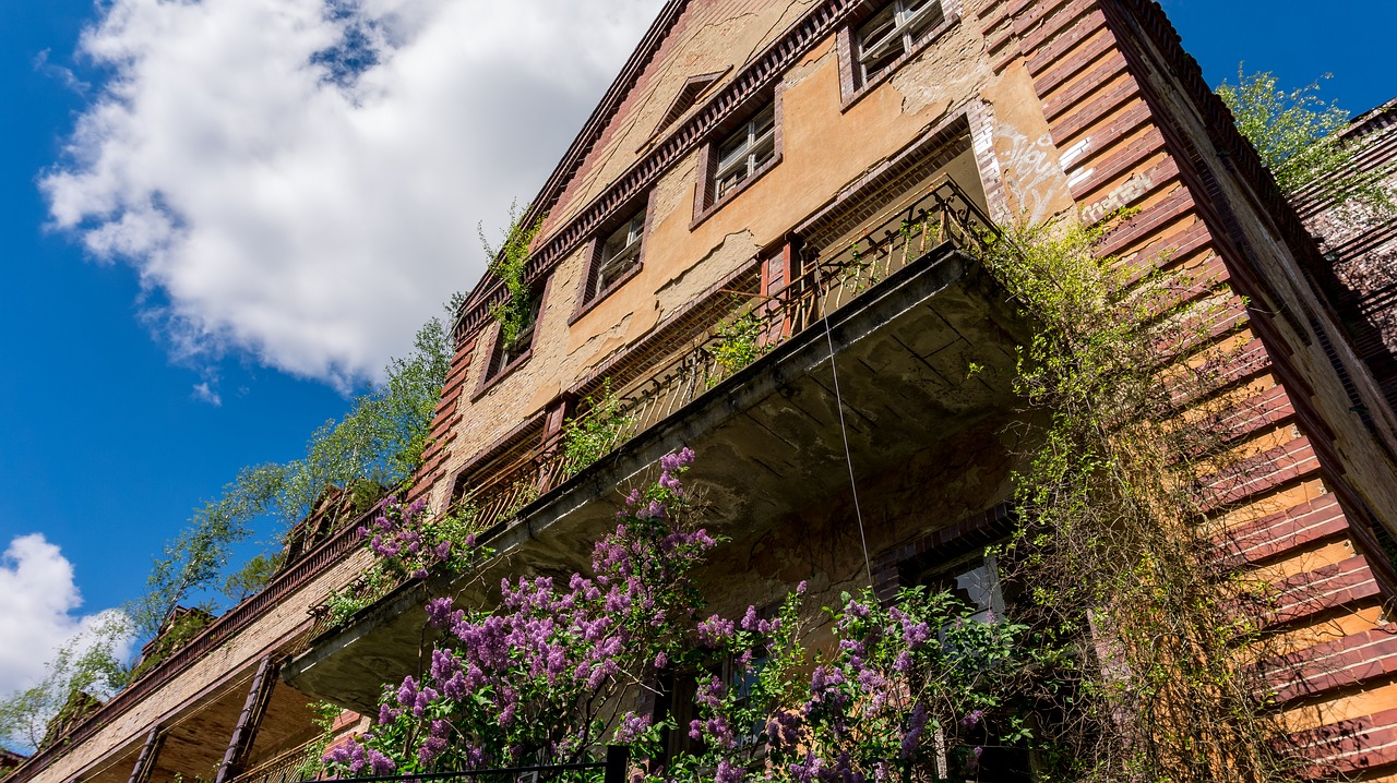 architecture  building  facade free photo