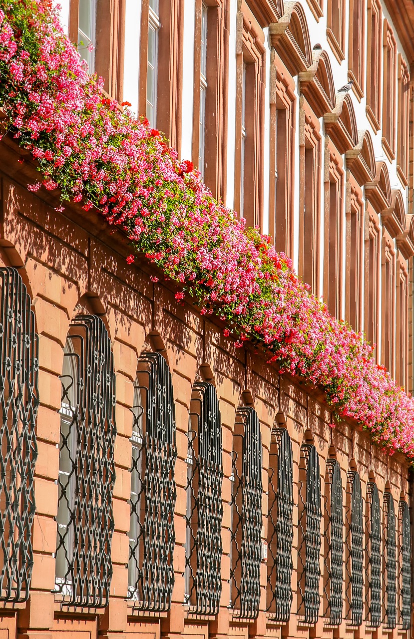 architecture  facade  outdoor free photo