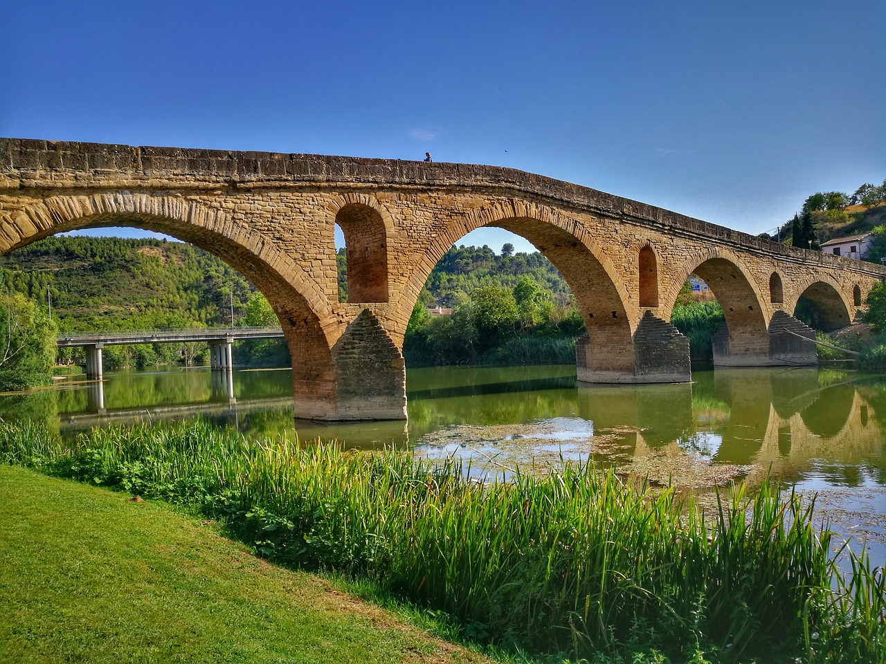 architecture  bridge  river free photo