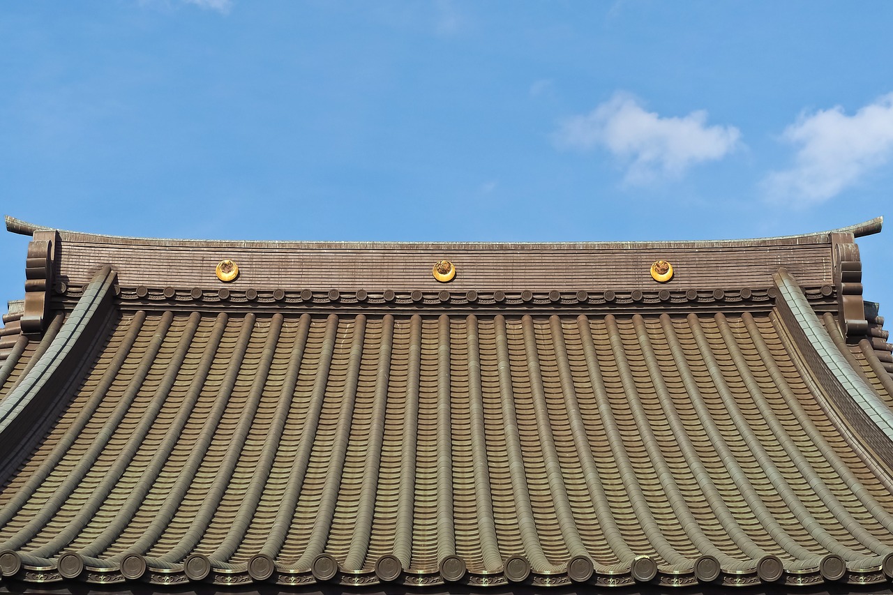 architecture  roof  detail free photo