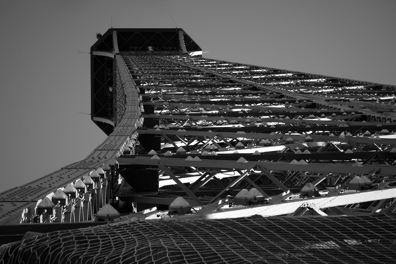 architecture  paris  eiffel tower free photo