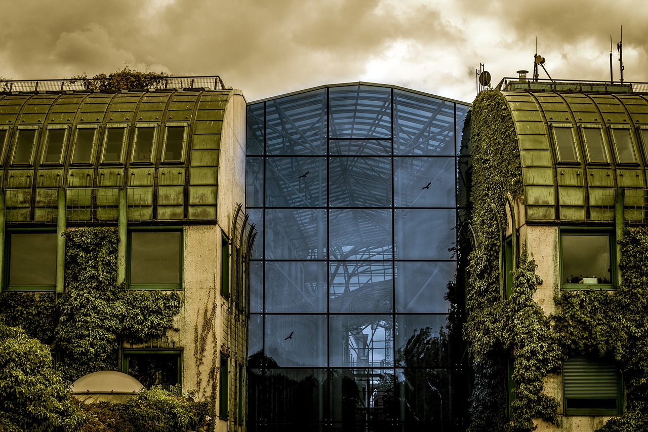 architecture  glass wall  ivy free photo