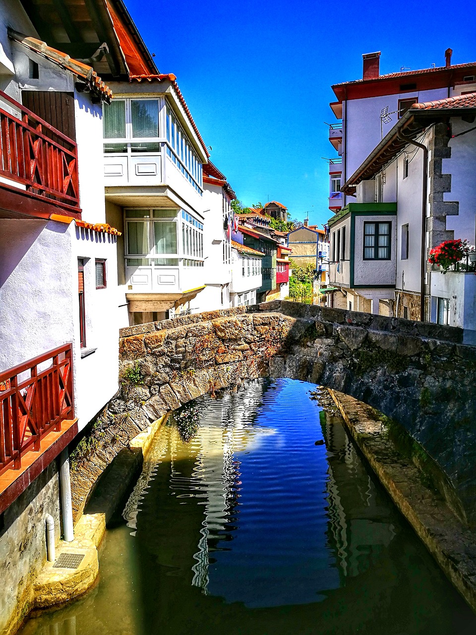 architecture  bridge  river free photo