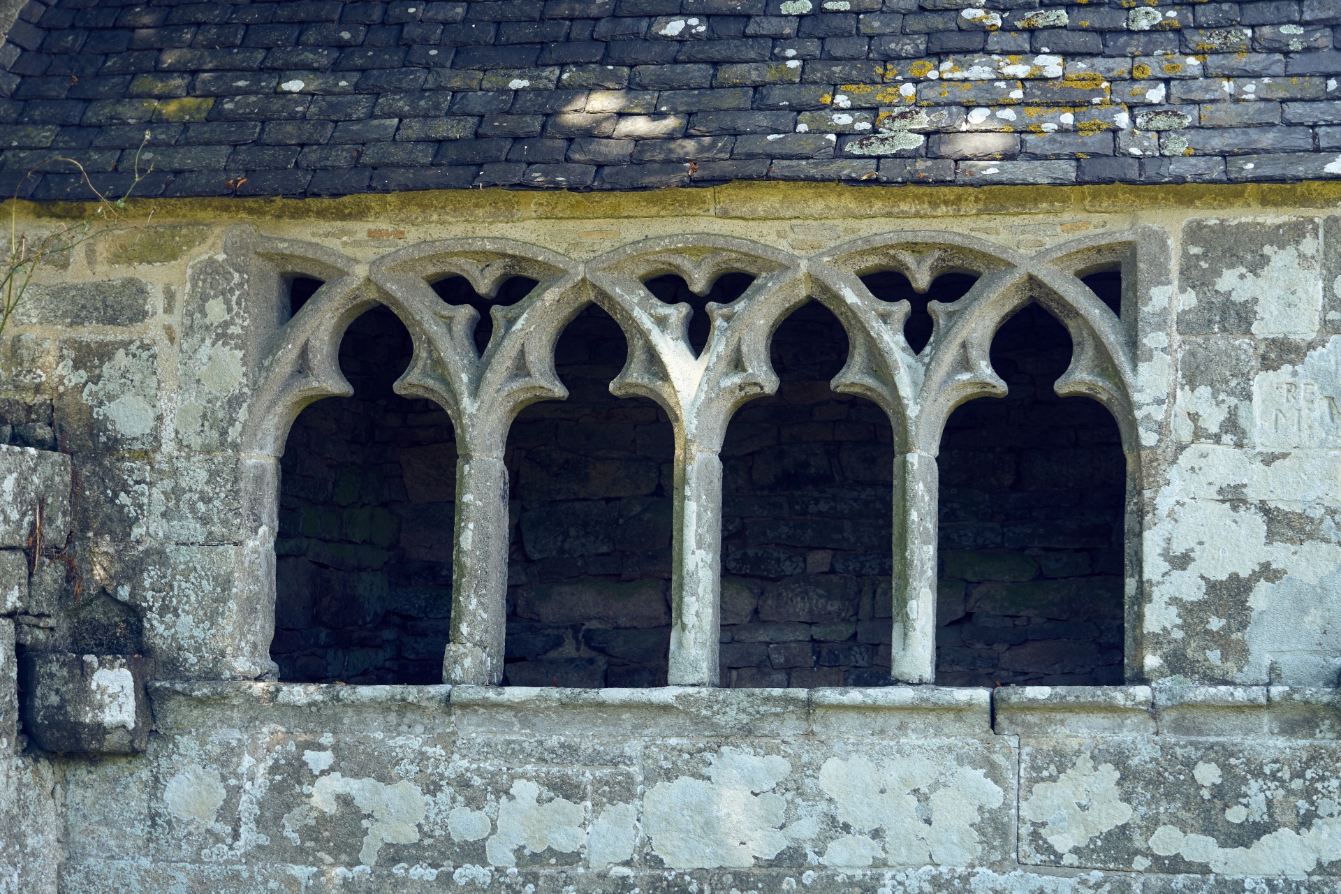 architecture windows gothic free photo